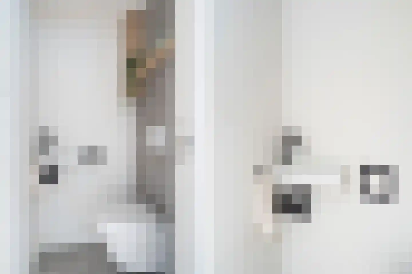 Zwanenvechtlaan 100 Utrecht thumbnail 13