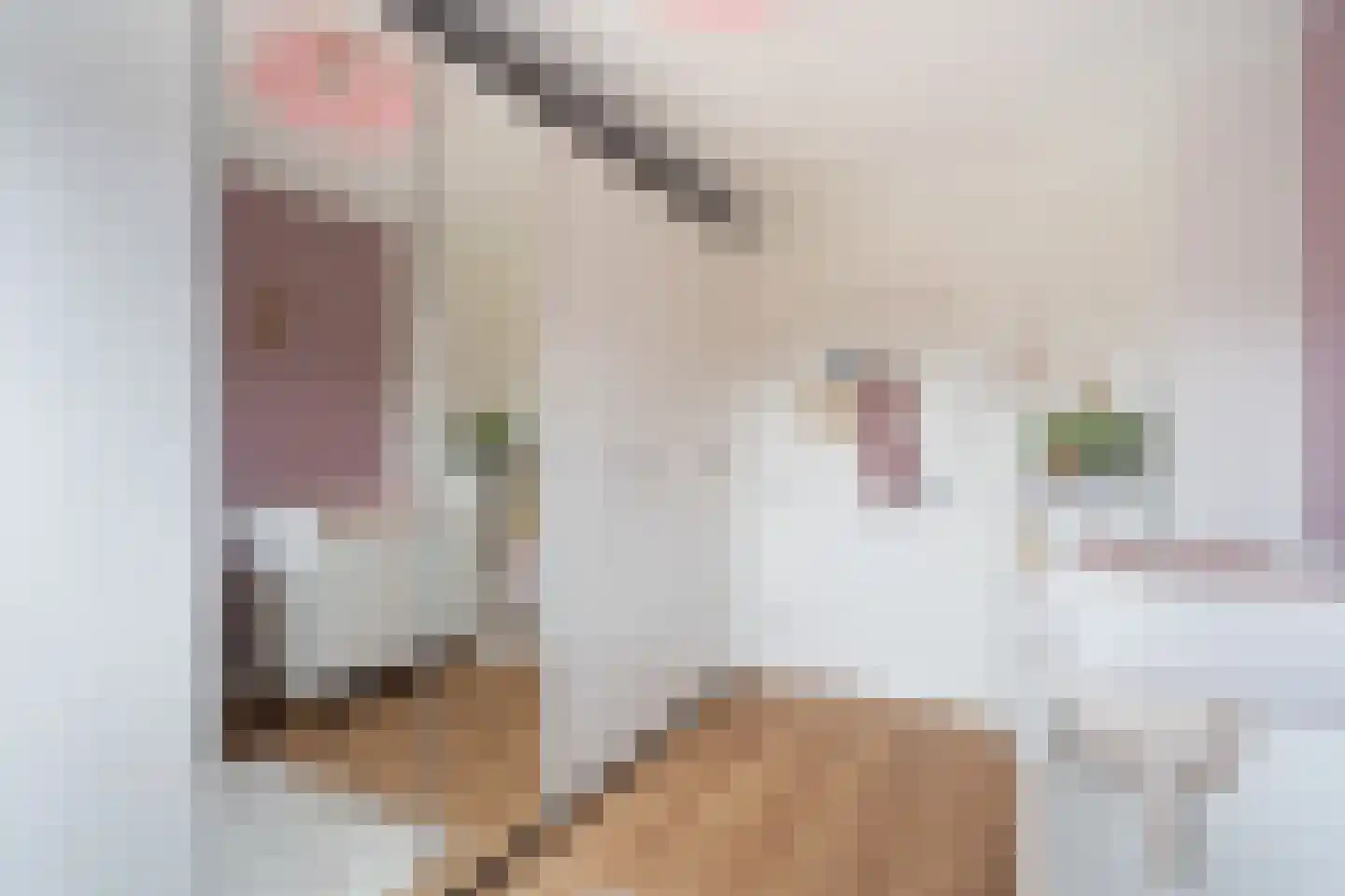Zwanenvechtlaan 100 Utrecht thumbnail 17