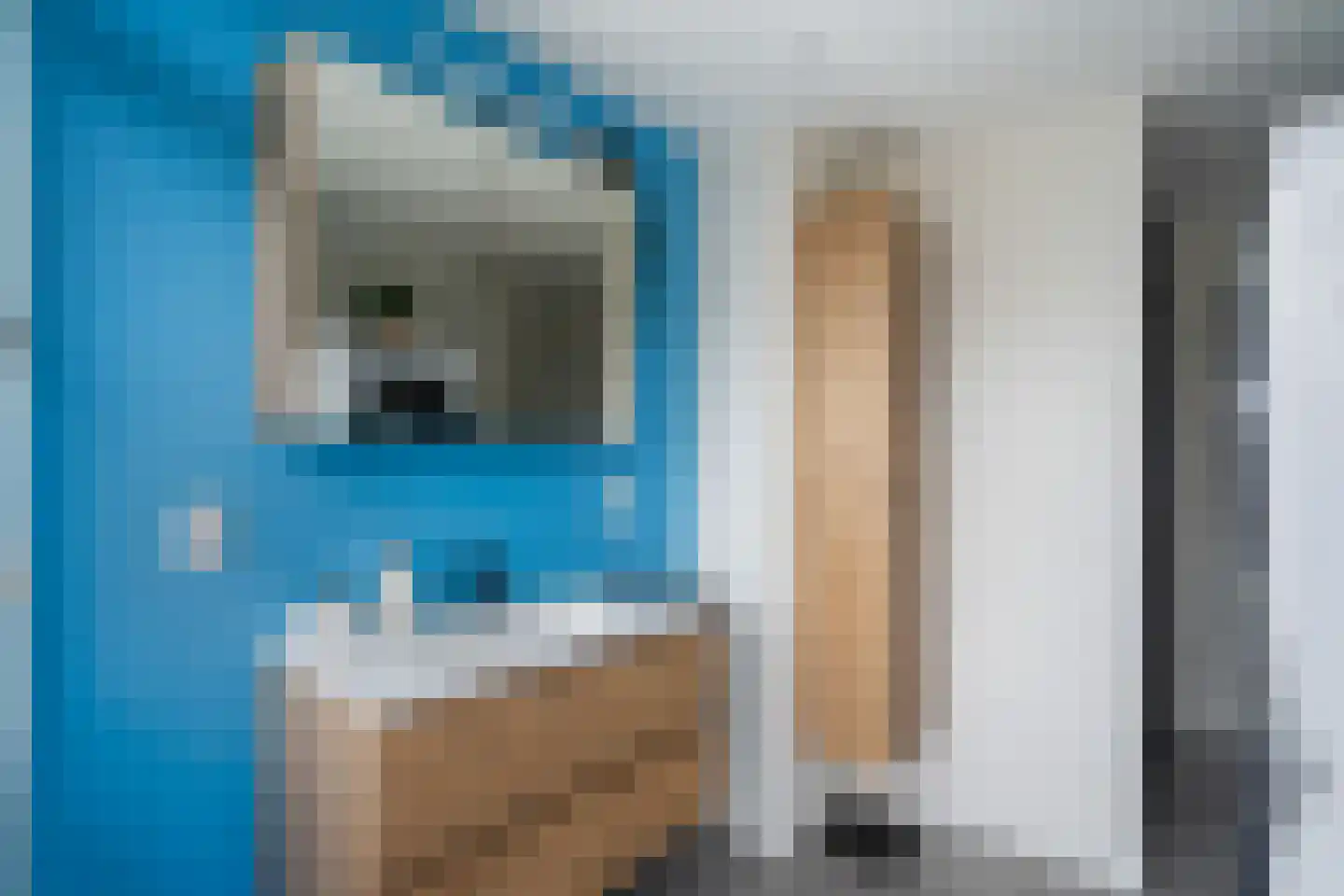 Zwanenvechtlaan 100 Utrecht thumbnail 19