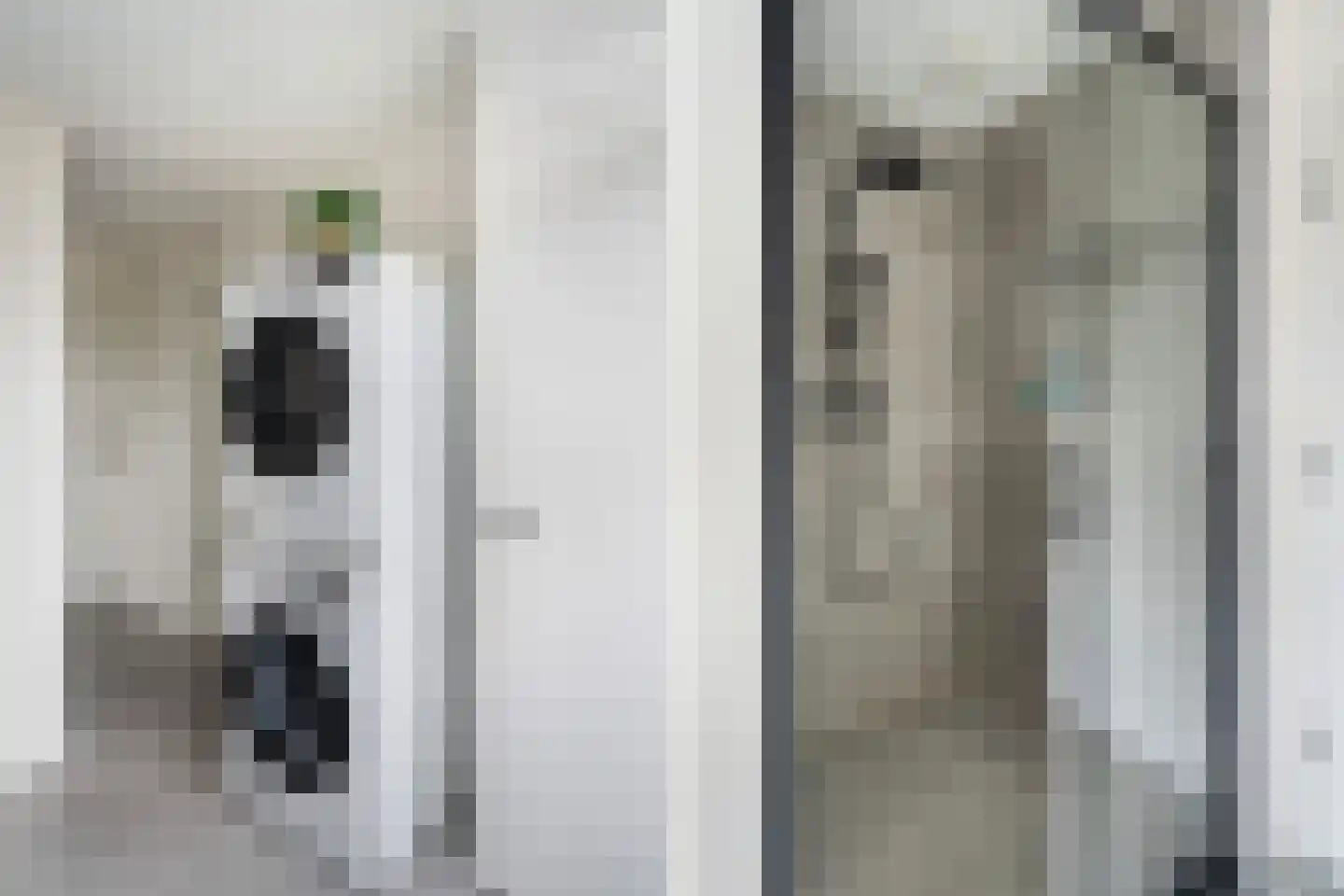 Zwanenvechtlaan 100 Utrecht thumbnail 21