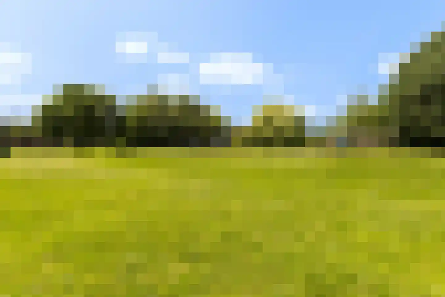 Zwanenvechtlaan 100 Utrecht thumbnail 29