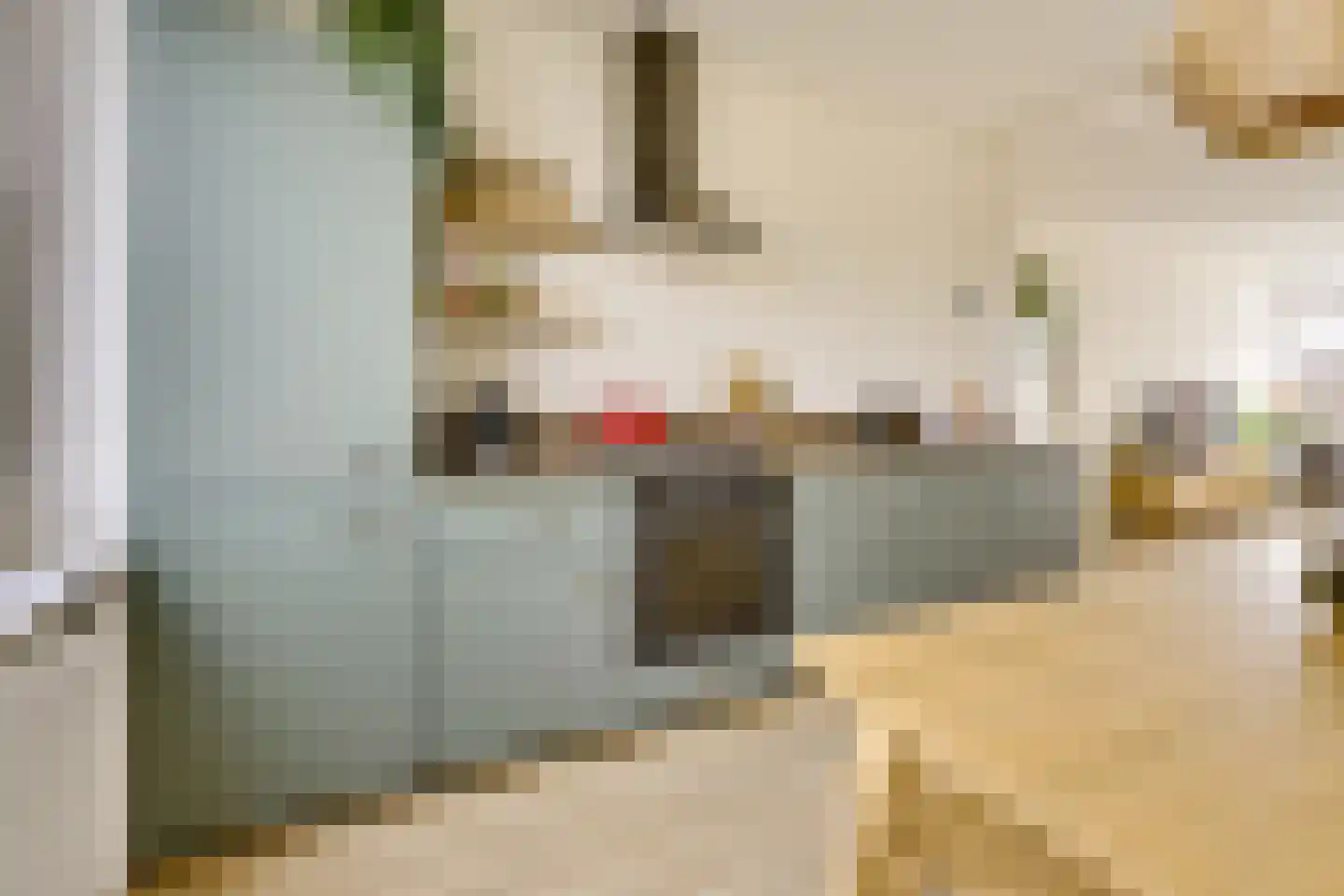 Zwanenvechtlaan 114 Utrecht thumbnail 13