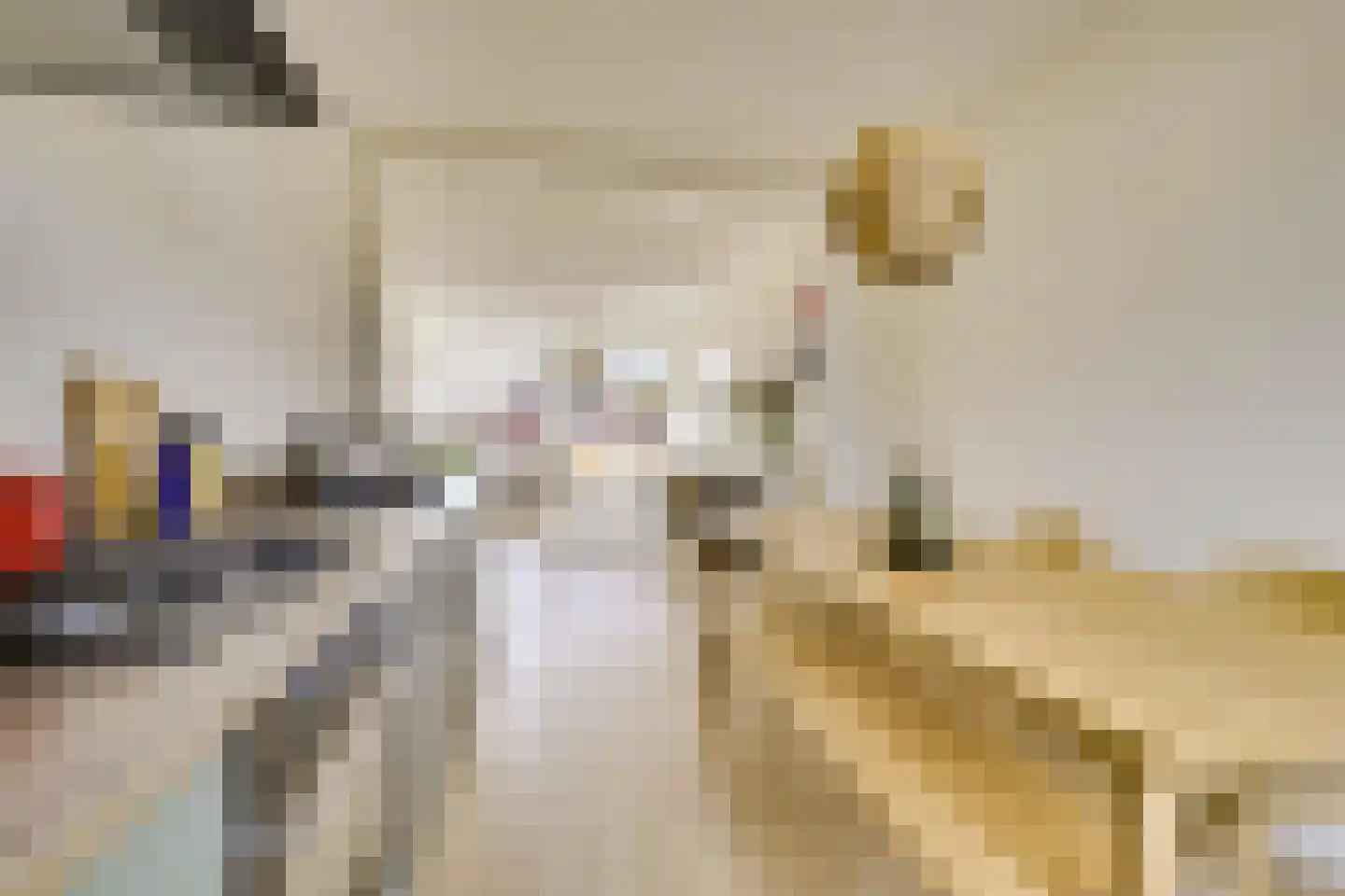 Zwanenvechtlaan 114 Utrecht thumbnail 15