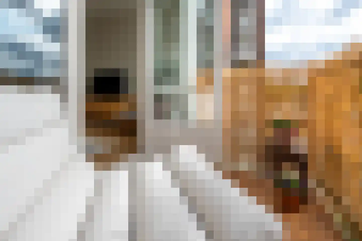 Zwanenvechtlaan 114 Utrecht thumbnail 18