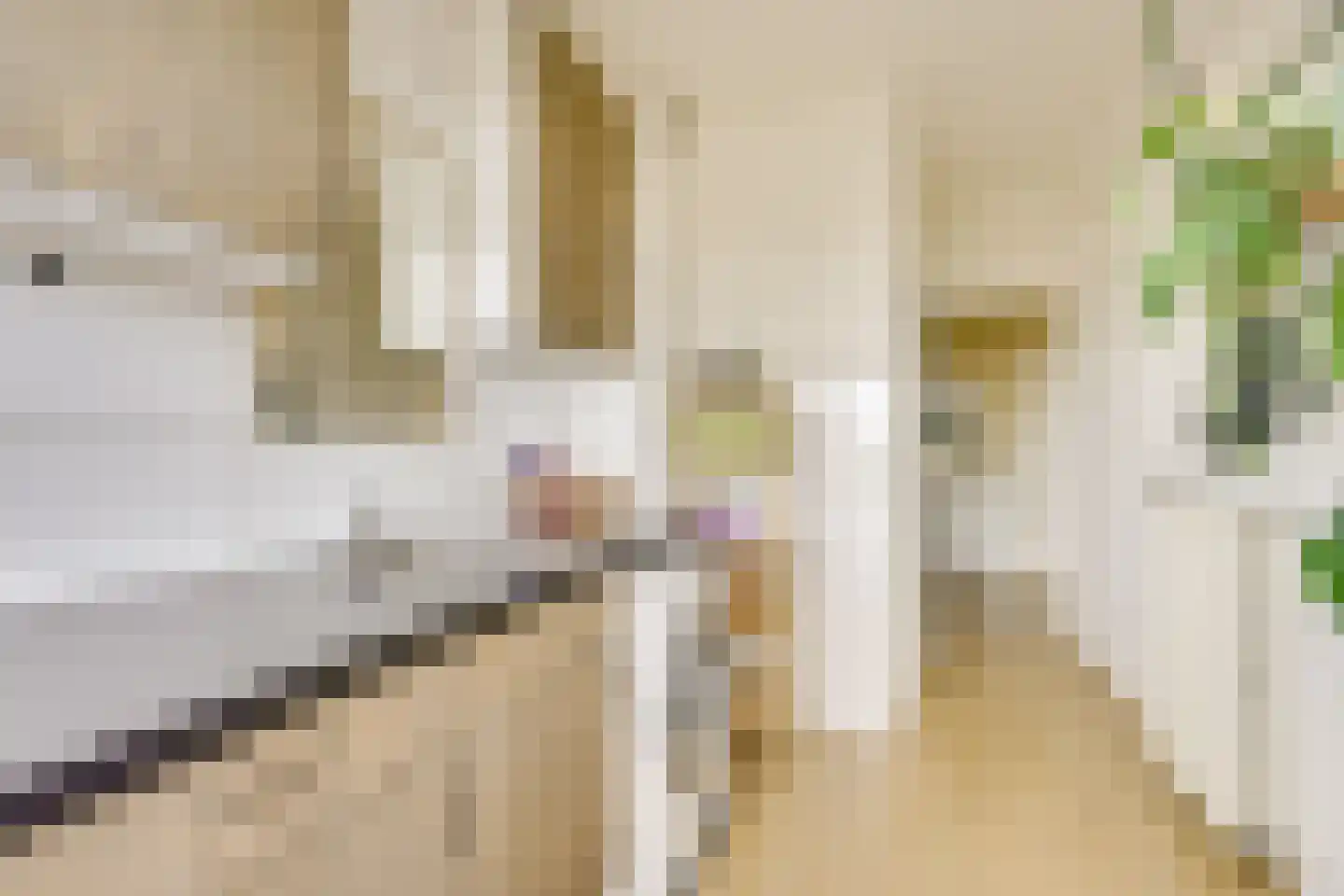 Zwanenvechtlaan 114 Utrecht thumbnail 27