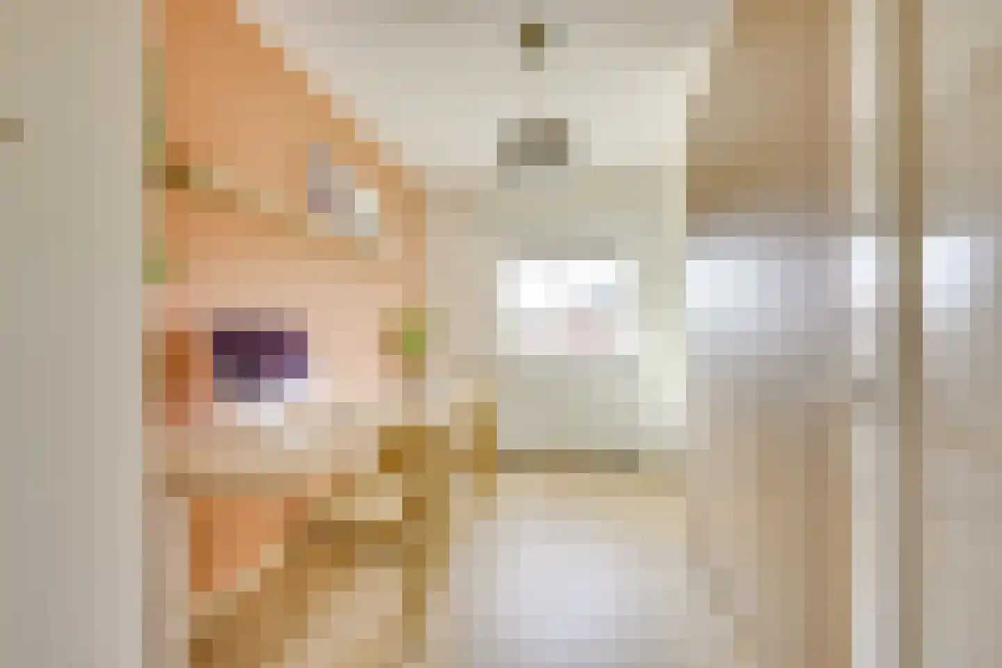 Zwanenvechtlaan 114 Utrecht thumbnail 32