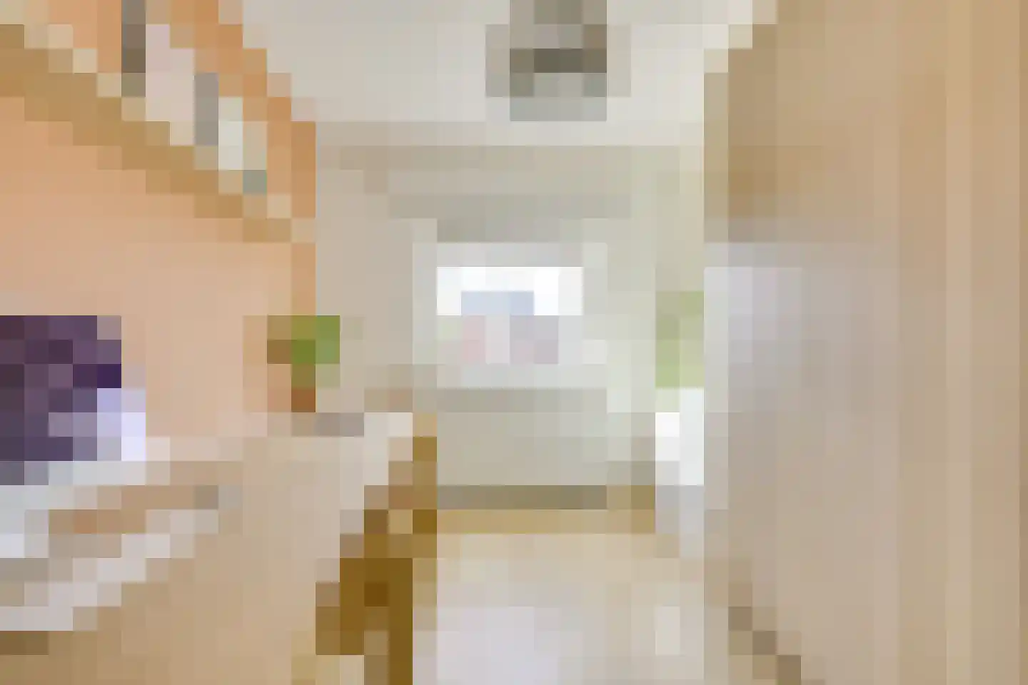 Zwanenvechtlaan 114 Utrecht thumbnail 33