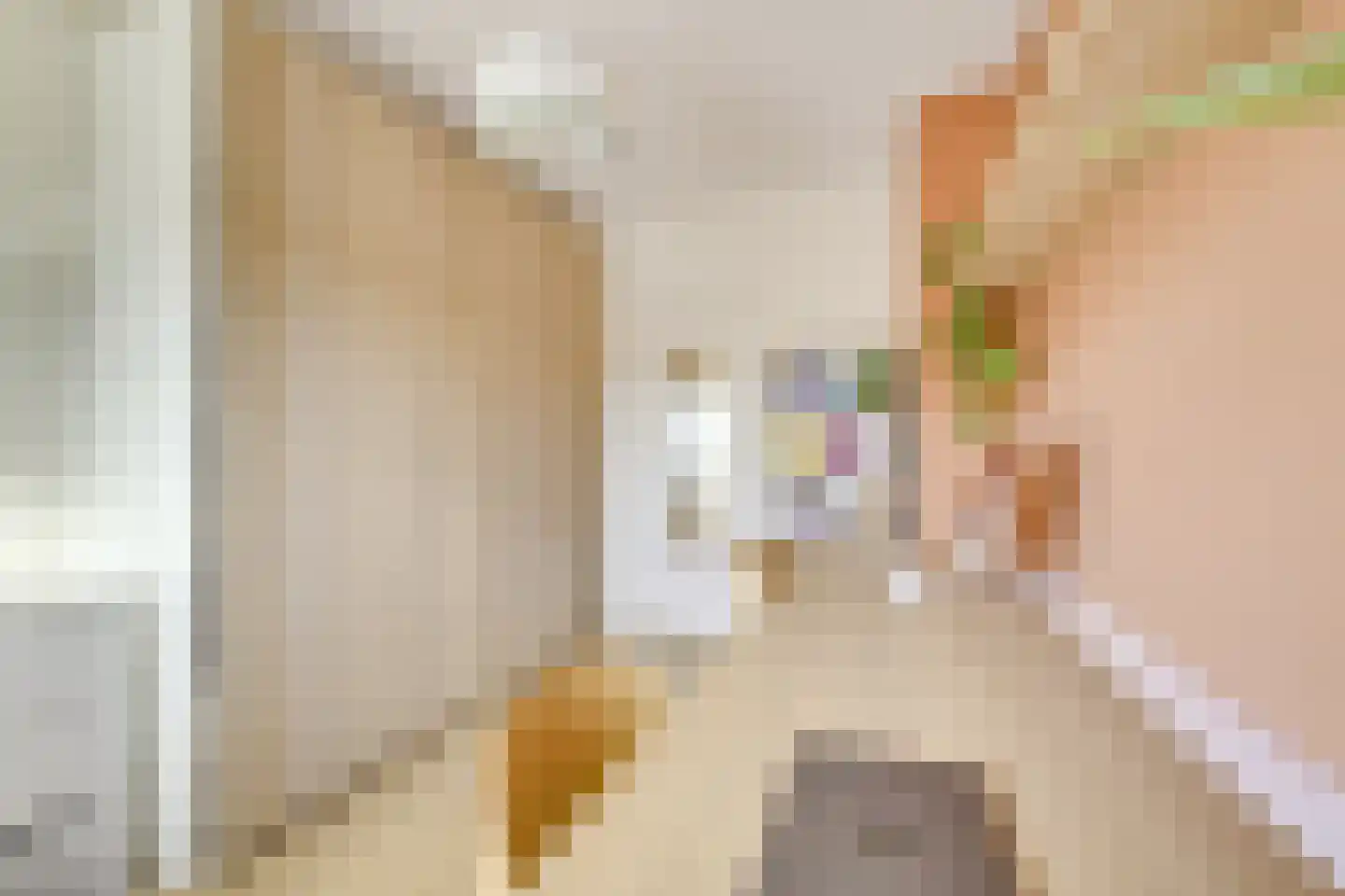 Zwanenvechtlaan 114 Utrecht thumbnail 35