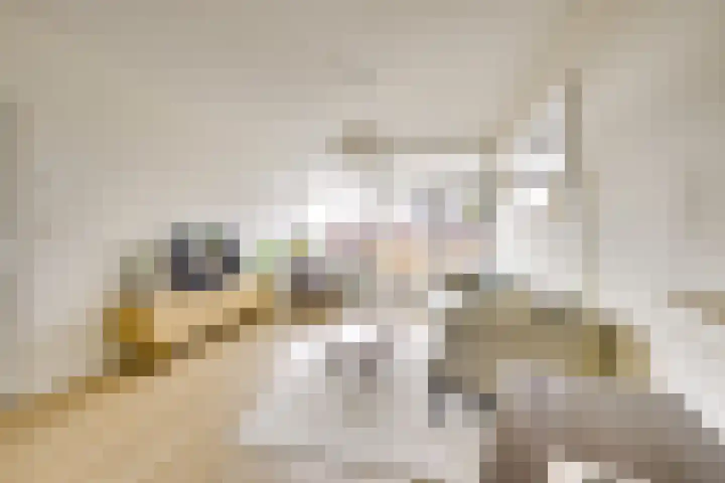 Zwanenvechtlaan 114 Utrecht thumbnail 6