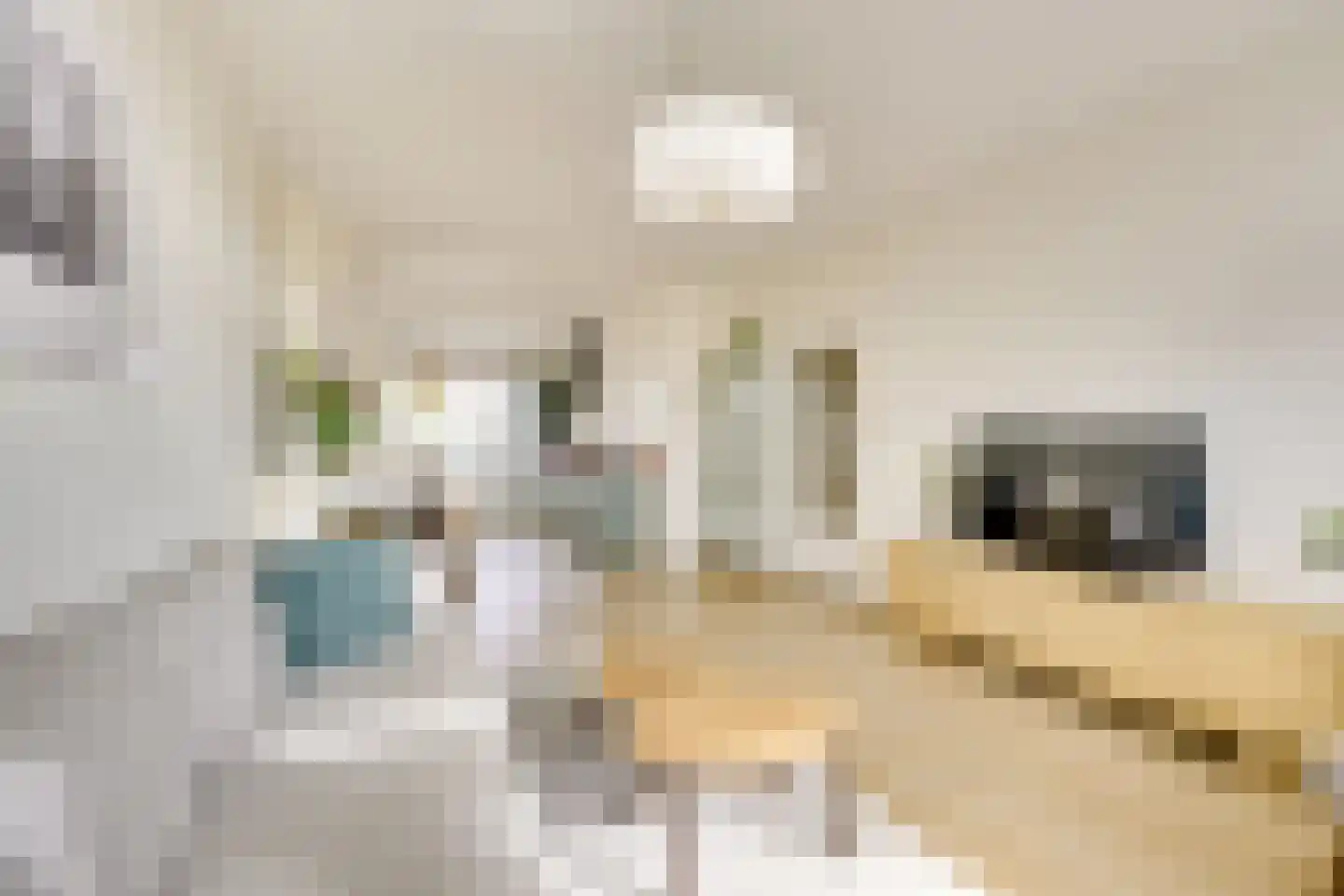 Zwanenvechtlaan 114 Utrecht thumbnail 8