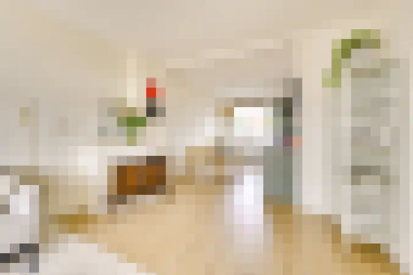 Zwanenvechtlaan 114 Utrecht thumbnail 9