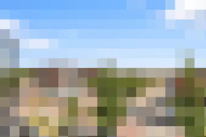Zwanenvechtlaan 116 Utrecht thumbnail 10