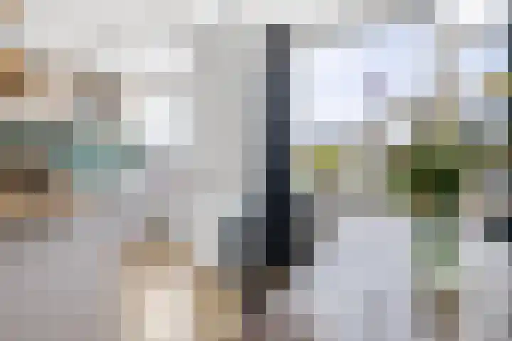 Zwanenvechtlaan 116 Utrecht thumbnail 11