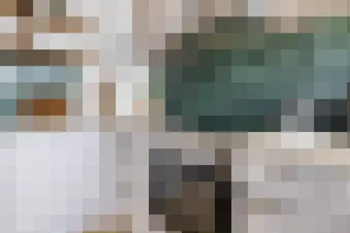 Zwanenvechtlaan 116 Utrecht thumbnail 12