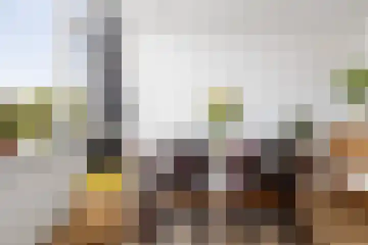 Zwanenvechtlaan 116 Utrecht thumbnail 14