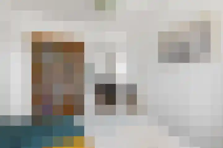 Zwanenvechtlaan 116 Utrecht thumbnail 21