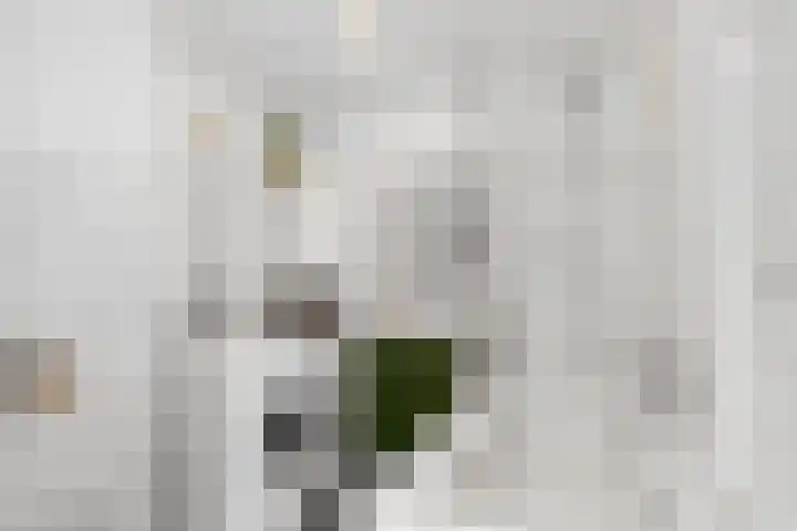 Zwanenvechtlaan 116 Utrecht thumbnail 22