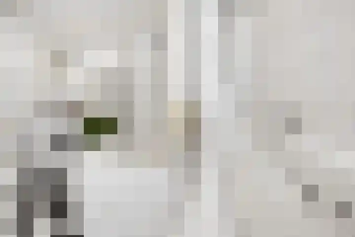 Zwanenvechtlaan 116 Utrecht thumbnail 23
