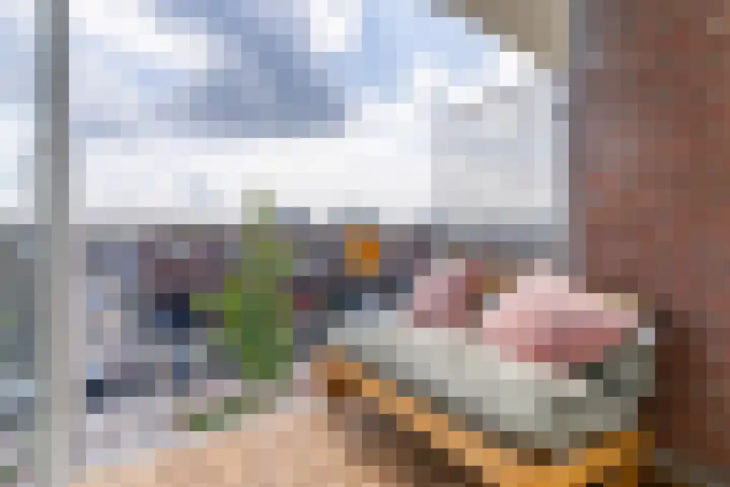 Zwanenvechtlaan 136 Utrecht thumbnail 12