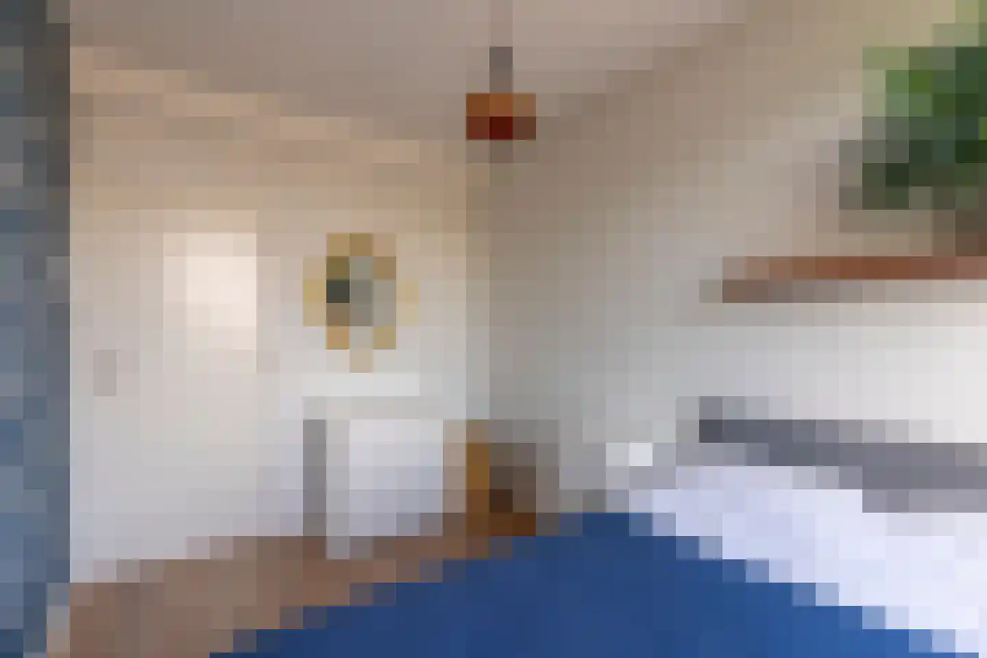 Zwanenvechtlaan 136 Utrecht thumbnail 26