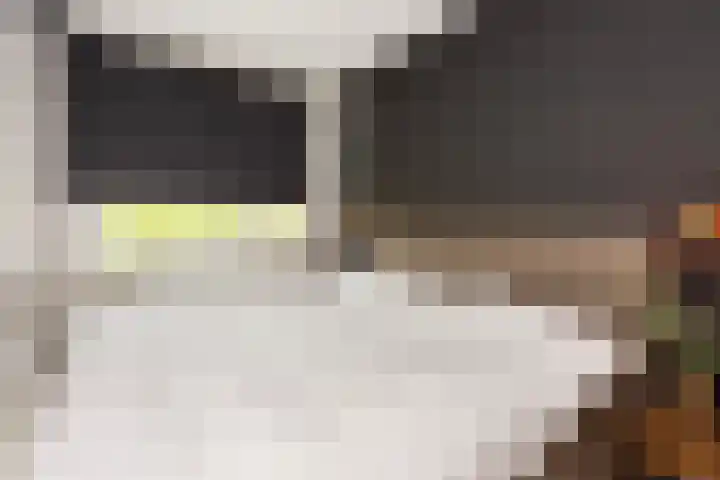 Zwanenvechtlaan 14 Utrecht thumbnail 10