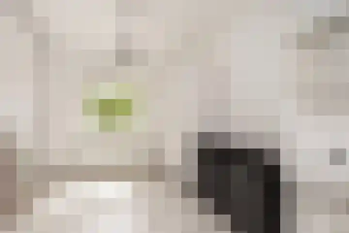 Zwanenvechtlaan 14 Utrecht thumbnail 11