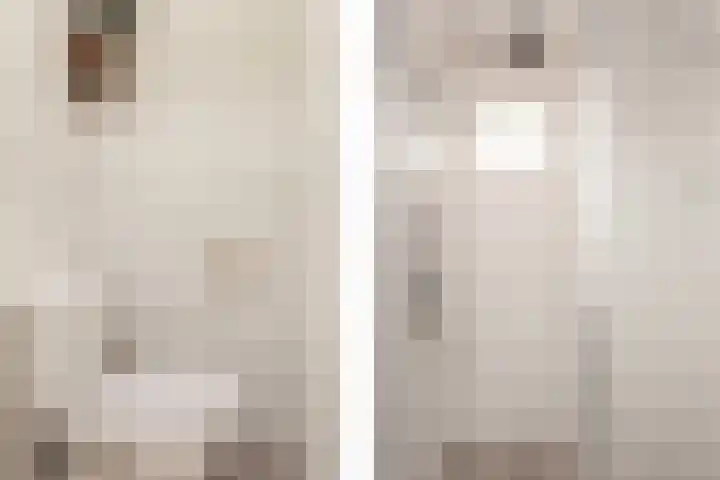 Zwanenvechtlaan 14 Utrecht thumbnail 13