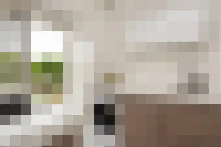 Zwanenvechtlaan 14 Utrecht thumbnail 14