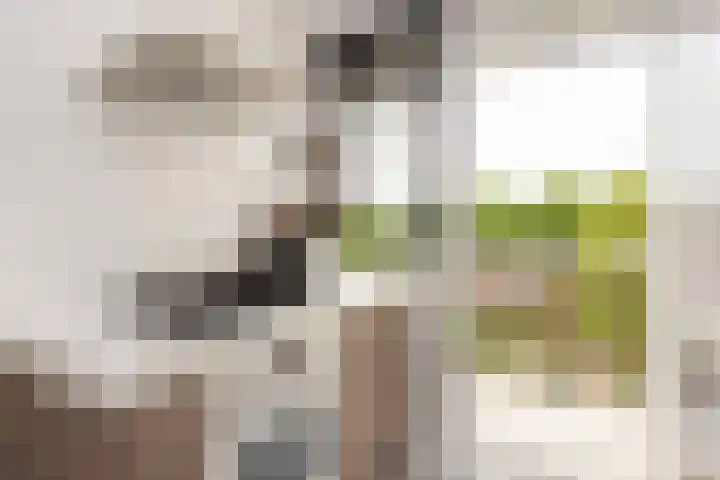 Zwanenvechtlaan 14 Utrecht thumbnail 15