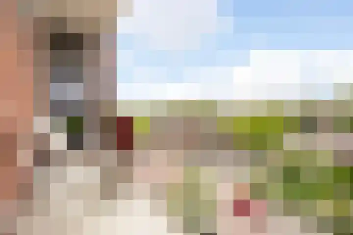 Zwanenvechtlaan 14 Utrecht thumbnail 16