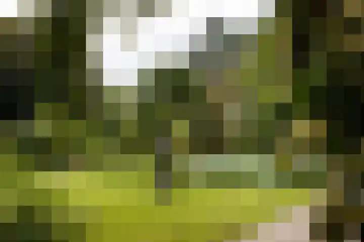 Zwanenvechtlaan 14 Utrecht thumbnail 18
