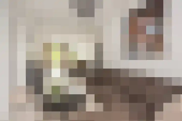 Zwanenvechtlaan 14 Utrecht thumbnail 5