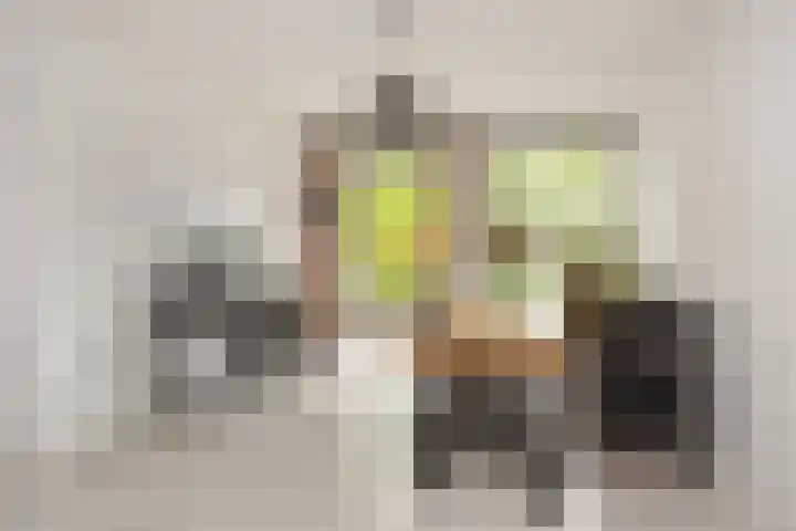 Zwanenvechtlaan 14 Utrecht thumbnail 6