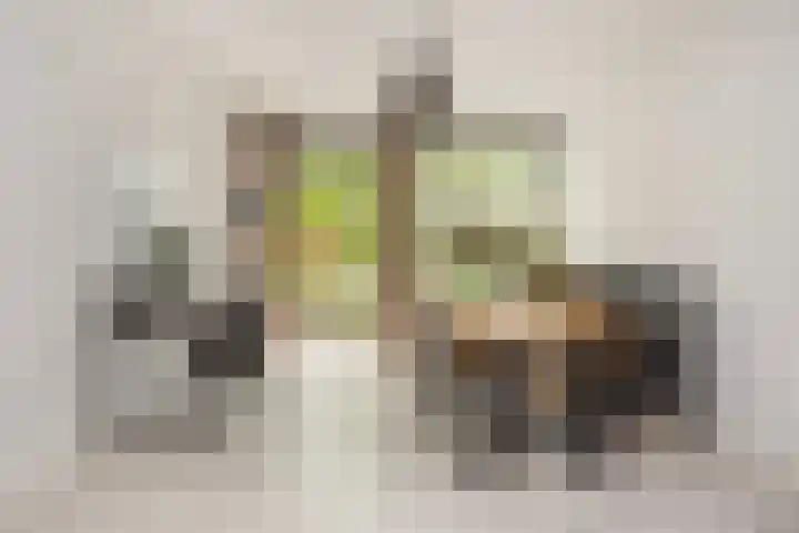 Zwanenvechtlaan 14 Utrecht thumbnail 7