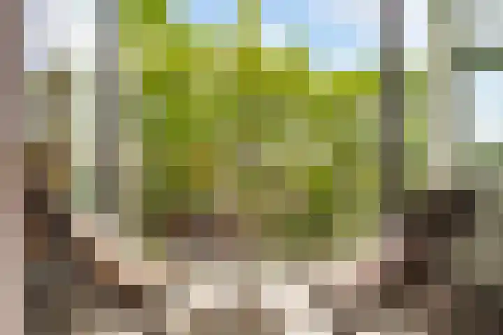 Zwanenvechtlaan 14 Utrecht thumbnail 8