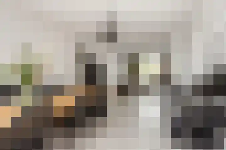 Zwanenvechtlaan 14 Utrecht thumbnail 9