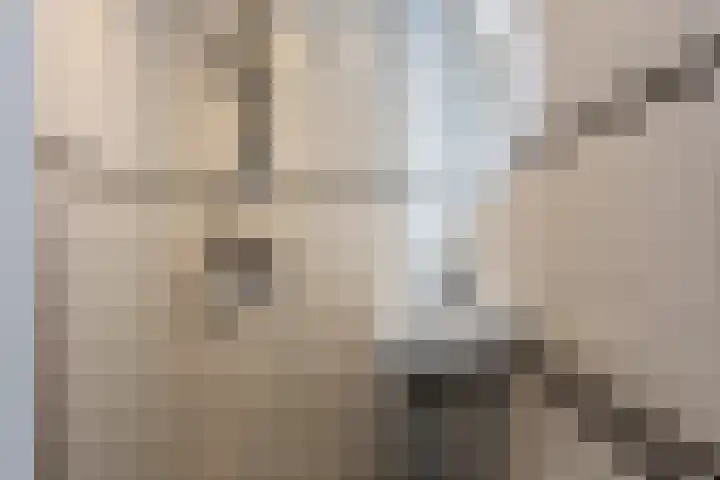 Zwanenvechtlaan 140 Utrecht thumbnail 21