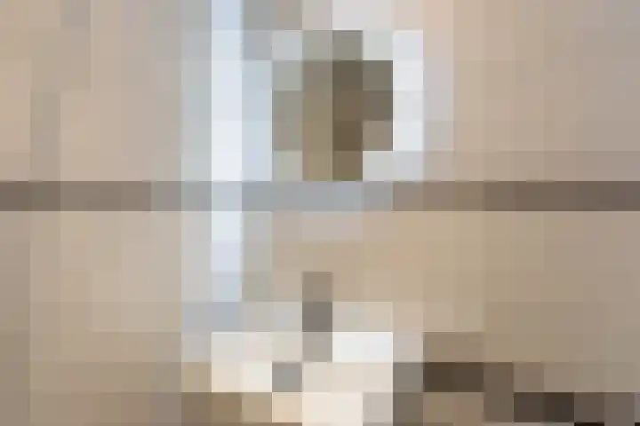 Zwanenvechtlaan 140 Utrecht thumbnail 22
