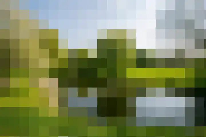Zwanenvechtlaan 140 Utrecht thumbnail 30