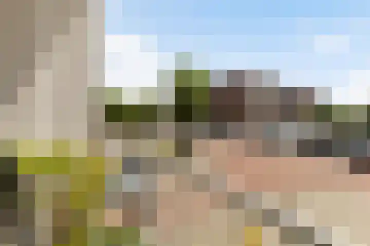 Zwanenvechtlaan 144 Utrecht thumbnail 10
