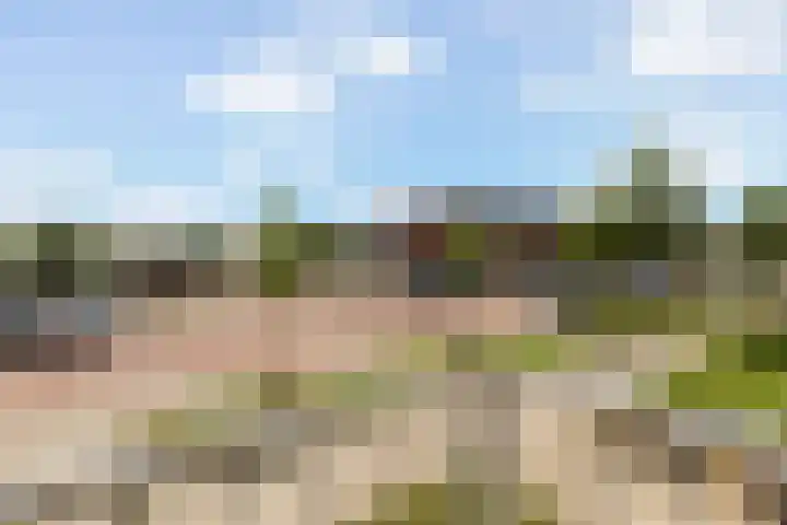 Zwanenvechtlaan 144 Utrecht thumbnail 11