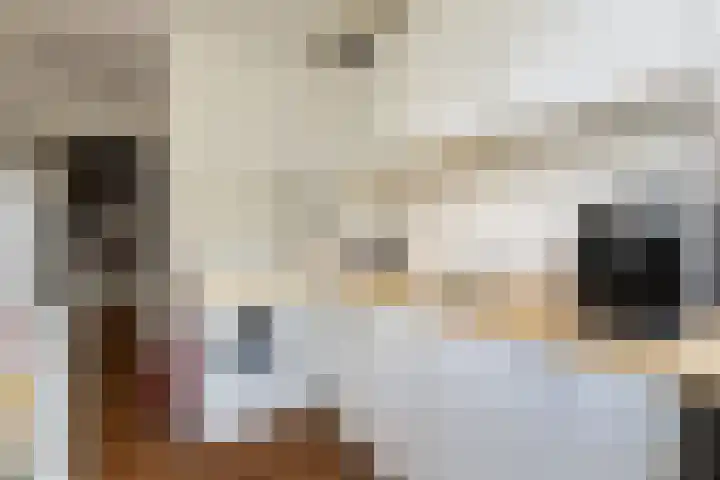 Zwanenvechtlaan 144 Utrecht thumbnail 15