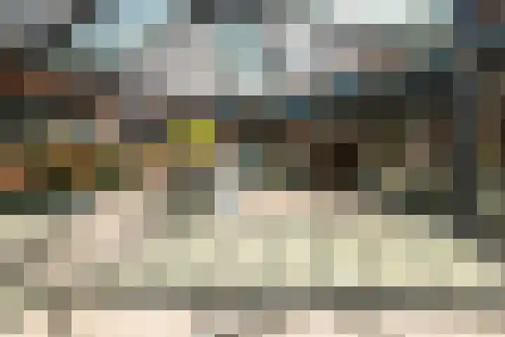 Zwanenvechtlaan 144 Utrecht thumbnail 19