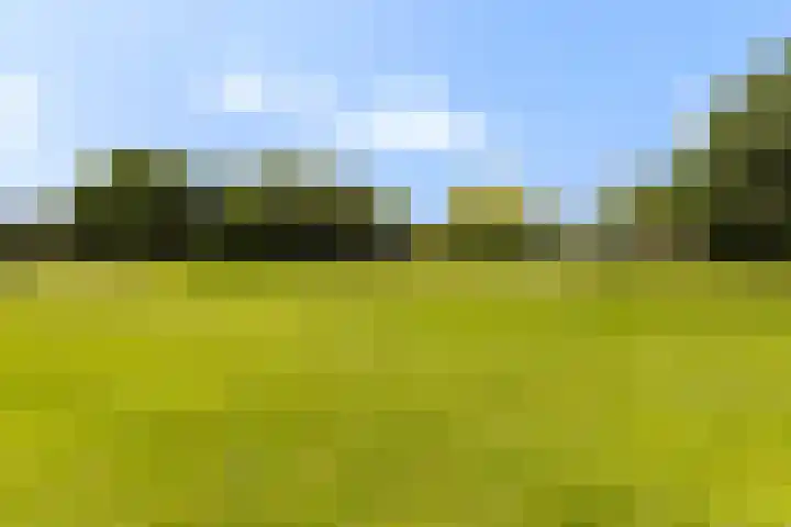Zwanenvechtlaan 144 Utrecht thumbnail 20