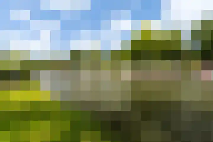 Zwanenvechtlaan 144 Utrecht thumbnail 21