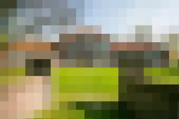 Zwanenvechtlaan 144 Utrecht thumbnail 23
