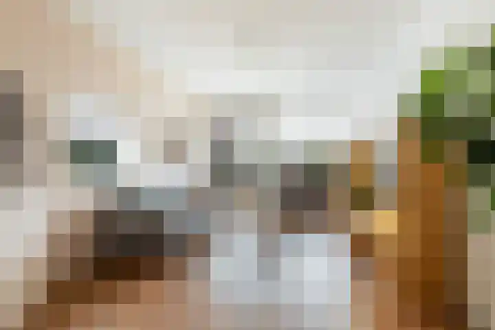 Zwanenvechtlaan 144 Utrecht thumbnail 4