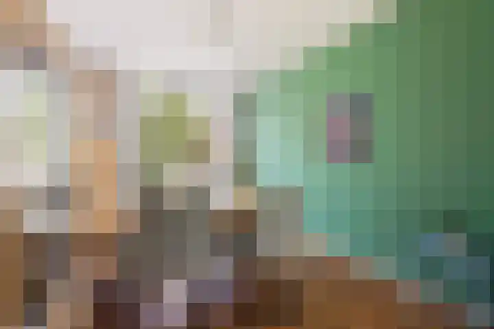 Zwanenvechtlaan 144 Utrecht thumbnail 6