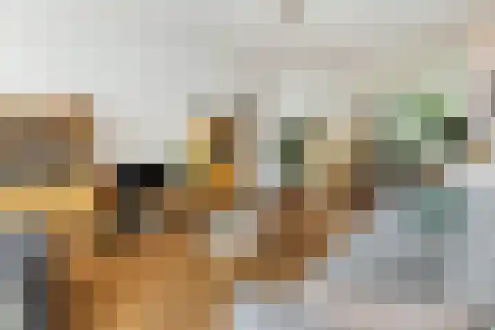 Zwanenvechtlaan 144 Utrecht thumbnail 7