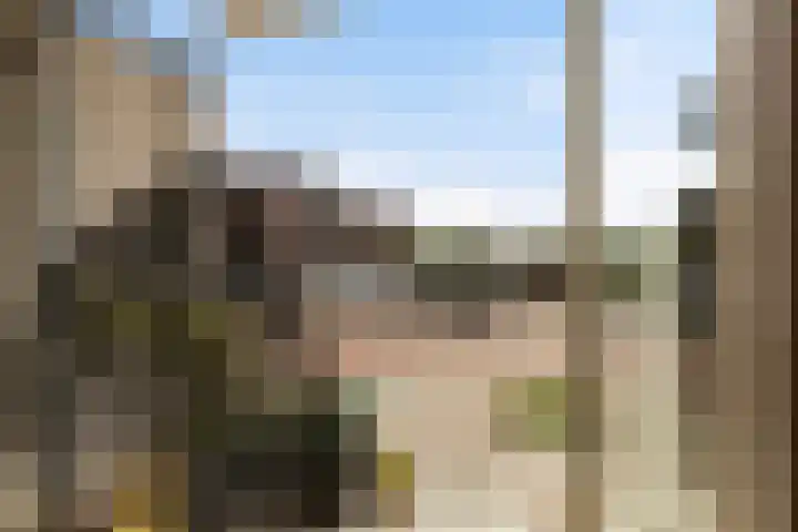 Zwanenvechtlaan 144 Utrecht thumbnail 9